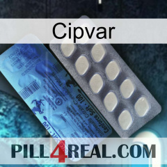 Cipvar 34